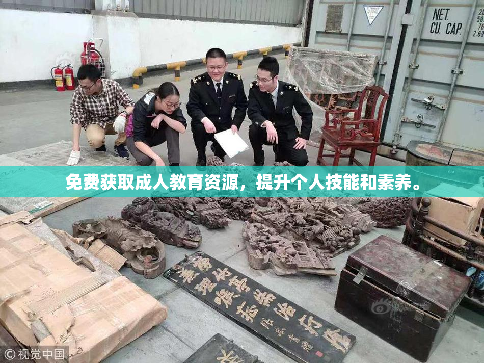 免费获取成人教育资源，提升个人技能和素养。