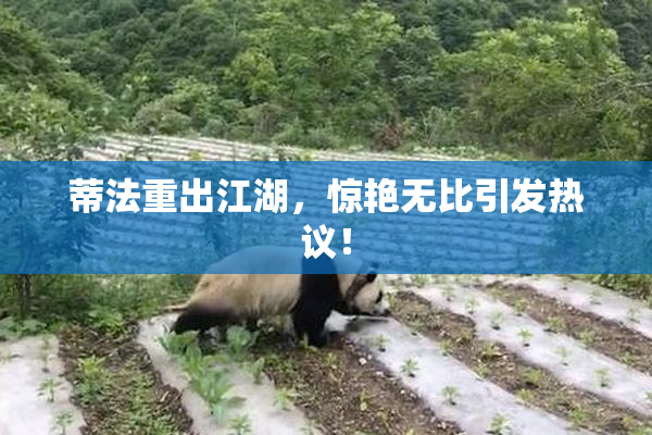 蒂法重出江湖，惊艳无比引发热议！