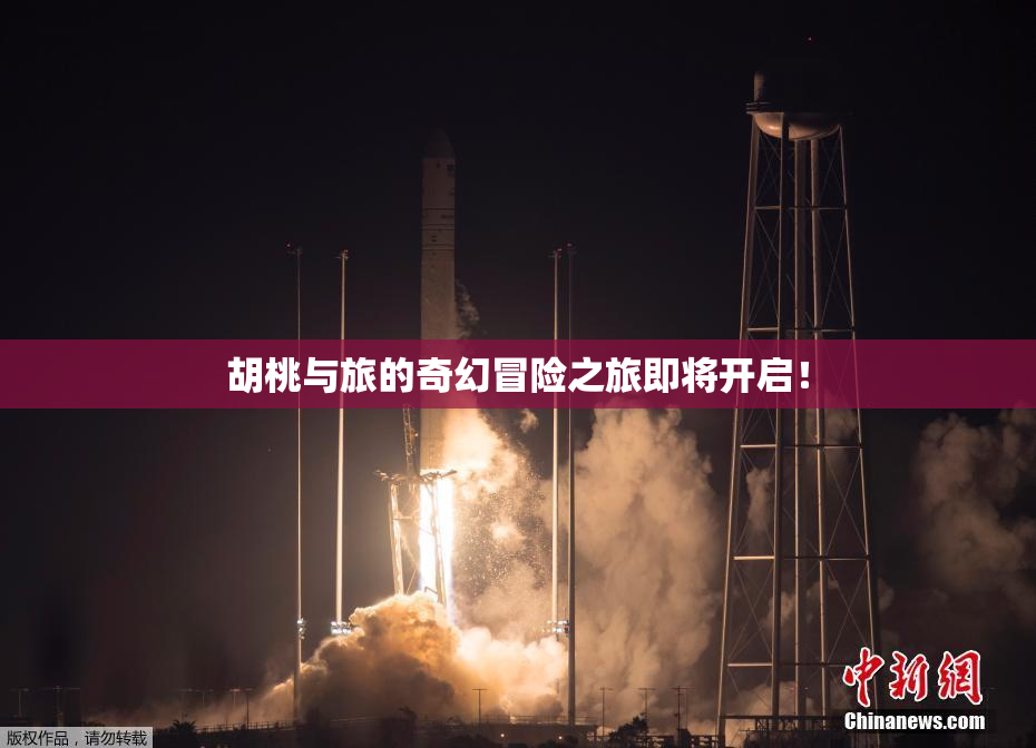 胡桃与旅的奇幻冒险之旅即将开启！