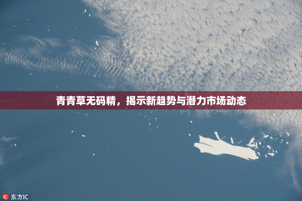 青青草无码精，揭示新趋势与潜力市场动态