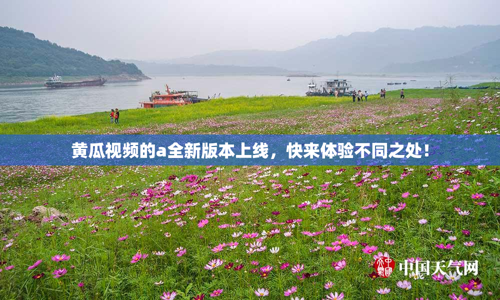 黄瓜视频的a全新版本上线，快来体验不同之处！