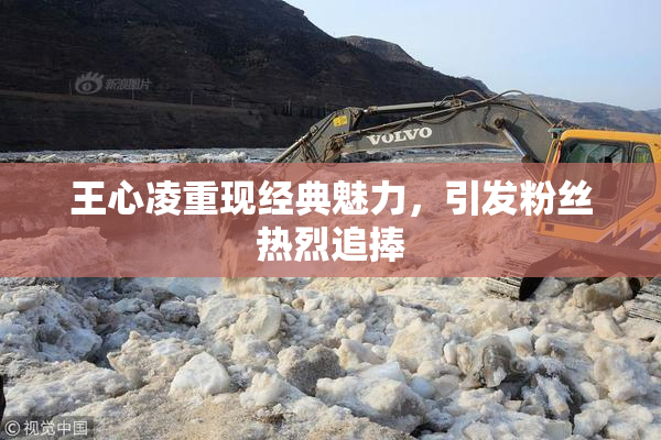 王心凌重现经典魅力，引发粉丝热烈追捧