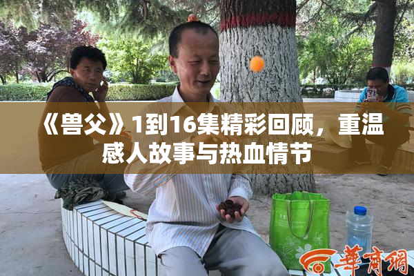 《兽父》1到16集精彩回顾，重温感人故事与热血情节