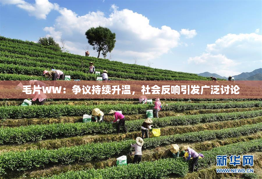毛片WW：争议持续升温，社会反响引发广泛讨论