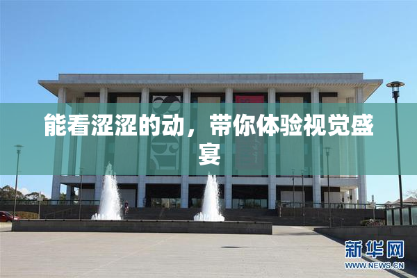能看涩涩的动，带你体验视觉盛宴