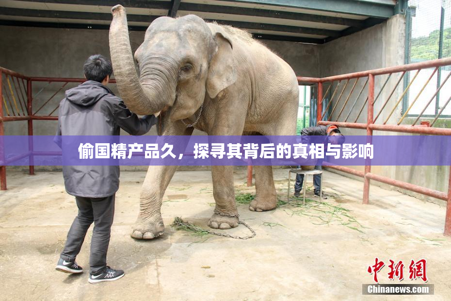 偷国精产品久，探寻其背后的真相与影响