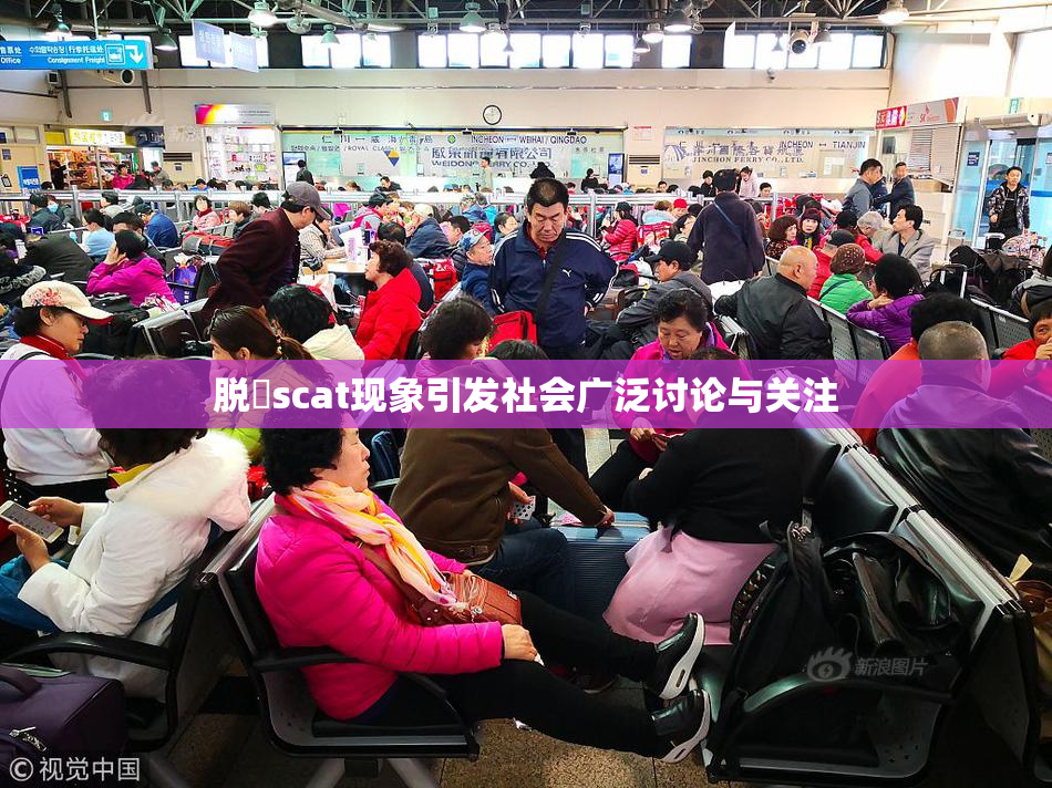 脱糞scat现象引发社会广泛讨论与关注