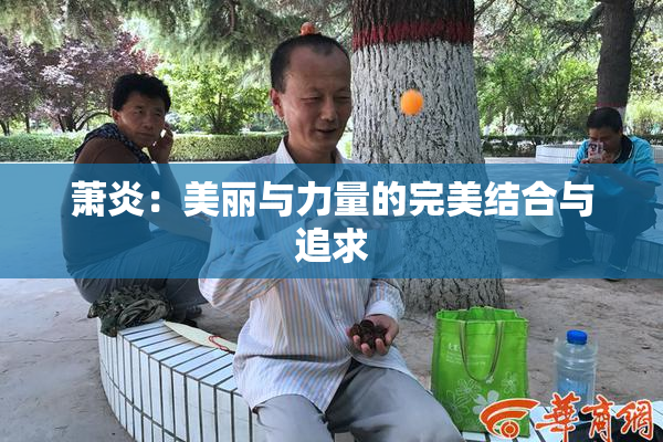 萧炎：美丽与力量的完美结合与追求