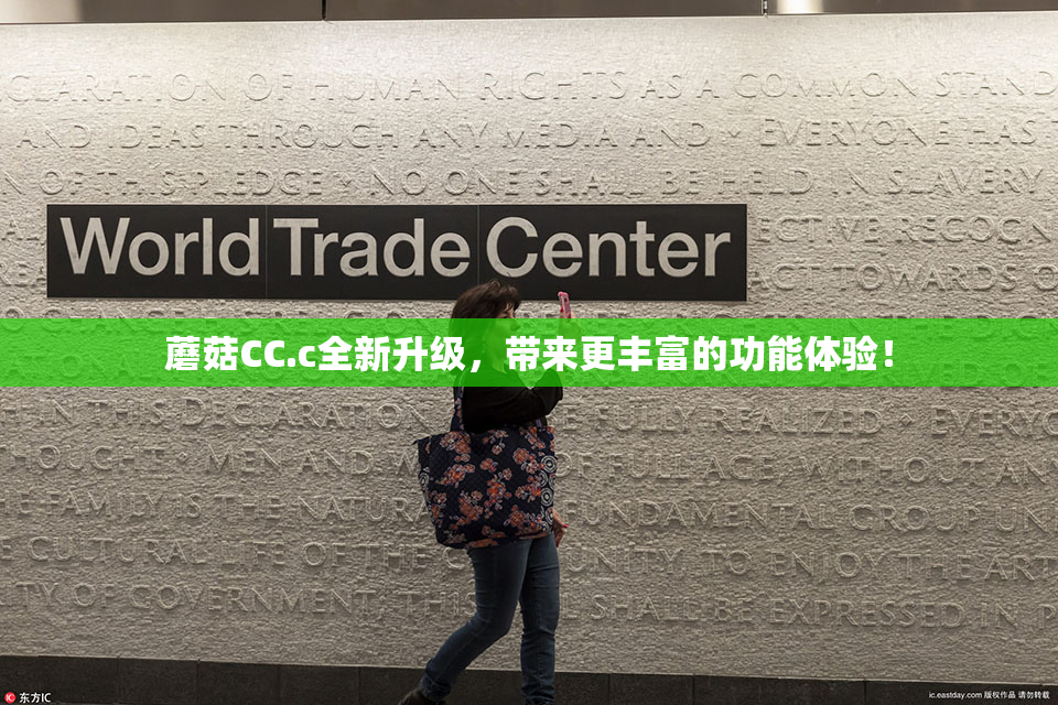 蘑菇CC.c全新升级，带来更丰富的功能体验！