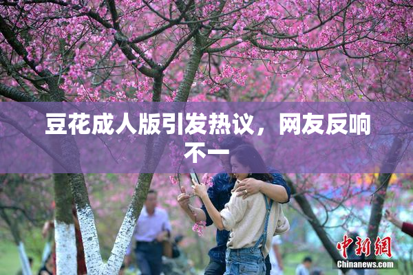 豆花成人版引发热议，网友反响不一