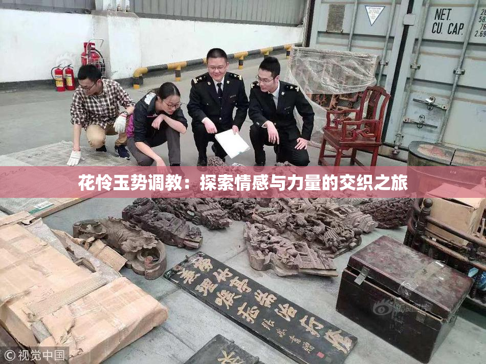 花怜玉势调教：探索情感与力量的交织之旅
