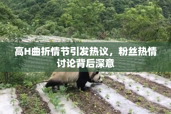 高H曲折情节引发热议，粉丝热情讨论背后深意