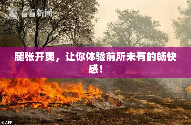 腿张开爽，让你体验前所未有的畅快感！