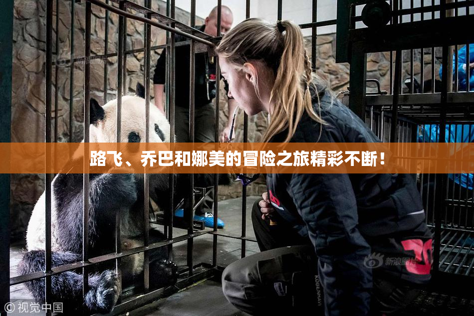 路飞、乔巴和娜美的冒险之旅精彩不断！
