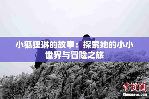 小狐狸琳的故事：探索她的小小世界与冒险之旅