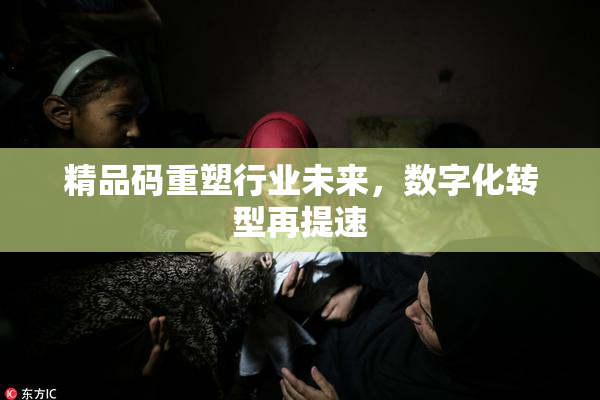 精品码重塑行业未来，数字化转型再提速
