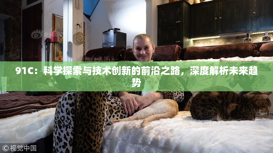91C：科学探索与技术创新的前沿之路，深度解析未来趋势