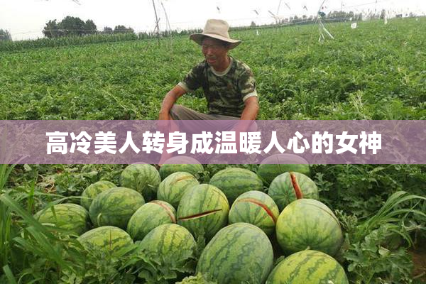 高冷美人转身成温暖人心的女神