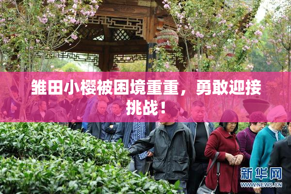 雏田小樱被困境重重，勇敢迎接挑战！