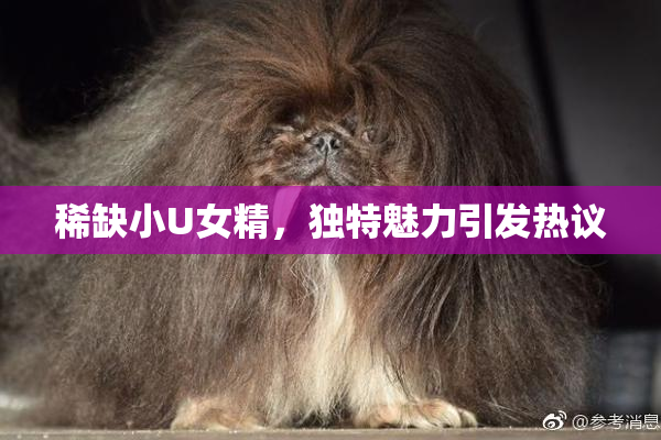 稀缺小U女精，独特魅力引发热议