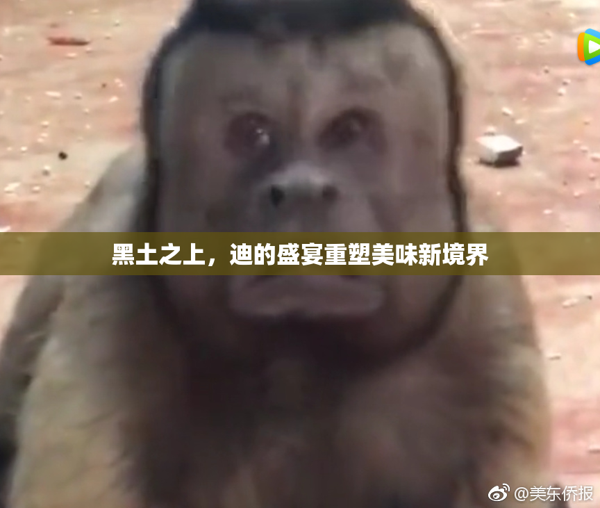 黑土之上，迪的盛宴重塑美味新境界