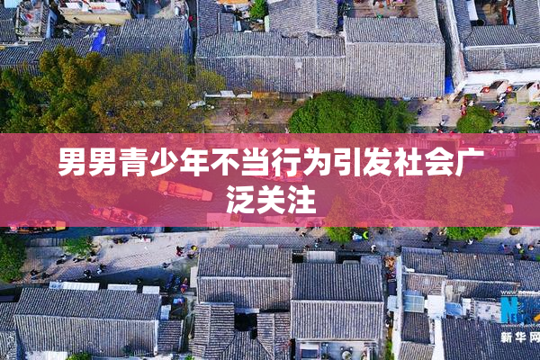 男男青少年不当行为引发社会广泛关注