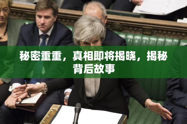 秘密重重，真相即将揭晓，揭秘背后故事
