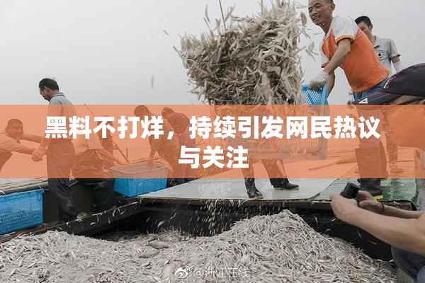 黑料不打烊，持续引发网民热议与关注