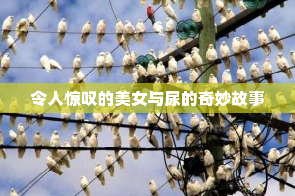 令人惊叹的美女与尿的奇妙故事