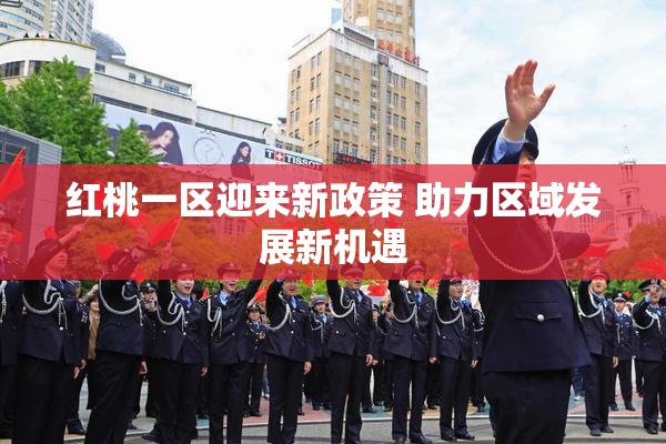 红桃一区迎来新政策 助力区域发展新机遇