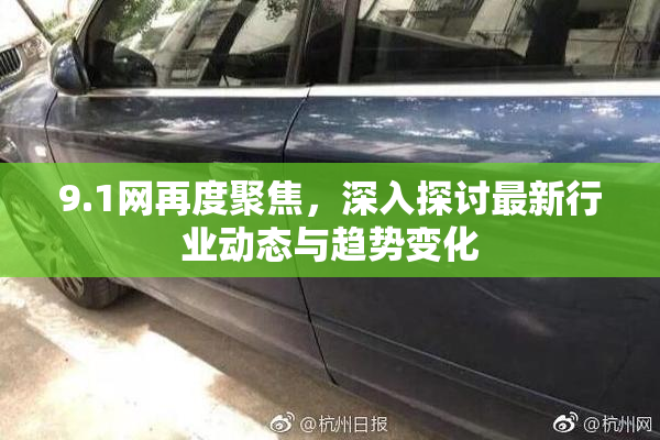 9.1网再度聚焦，深入探讨最新行业动态与趋势变化