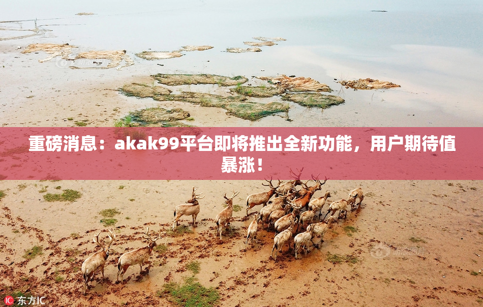 重磅消息：akak99平台即将推出全新功能，用户期待值暴涨！