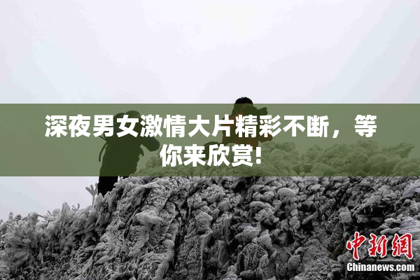 深夜男女激情大片精彩不断，等你来欣赏!