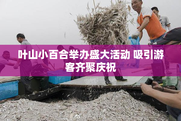 叶山小百合举办盛大活动 吸引游客齐聚庆祝