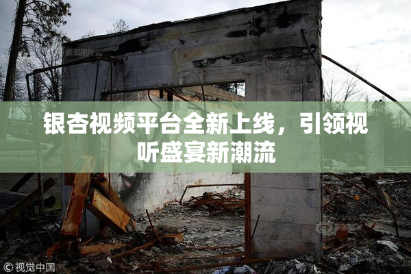 银杏视频平台全新上线，引领视听盛宴新潮流