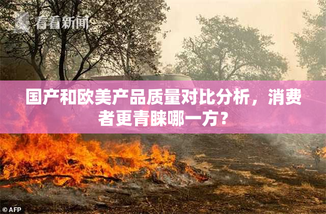 国产和欧美产品质量对比分析，消费者更青睐哪一方？