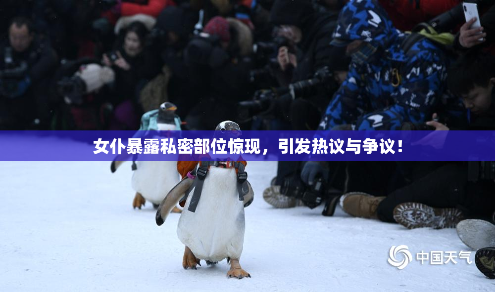 女仆暴露私密部位惊现，引发热议与争议！