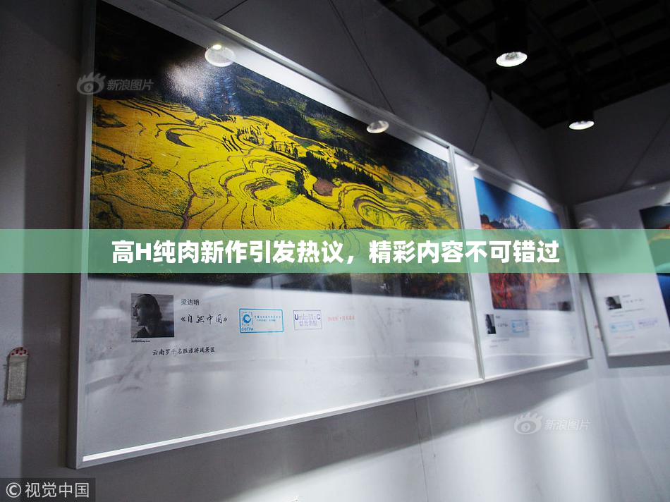 高H纯肉新作引发热议，精彩内容不可错过