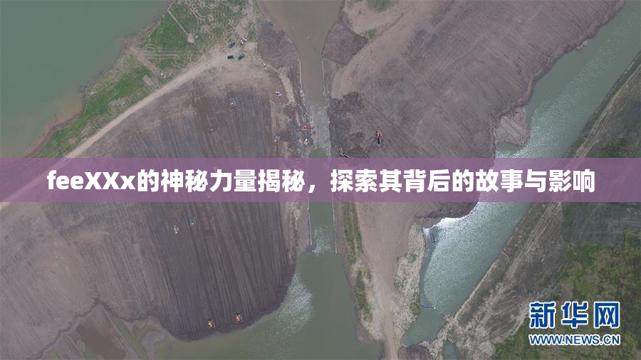 feeXXx的神秘力量揭秘，探索其背后的故事与影响