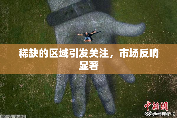稀缺的区域引发关注，市场反响显著