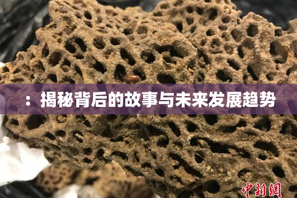 ：揭秘背后的故事与未来发展趋势