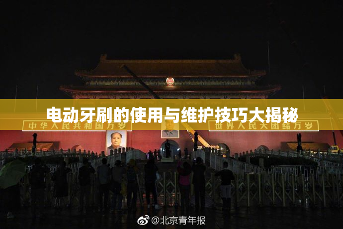 电动牙刷的使用与维护技巧大揭秘