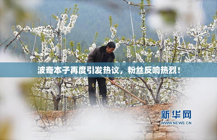 波奇本子再度引发热议，粉丝反响热烈！