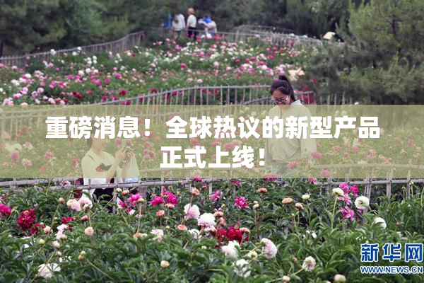 重磅消息！全球热议的新型产品正式上线！