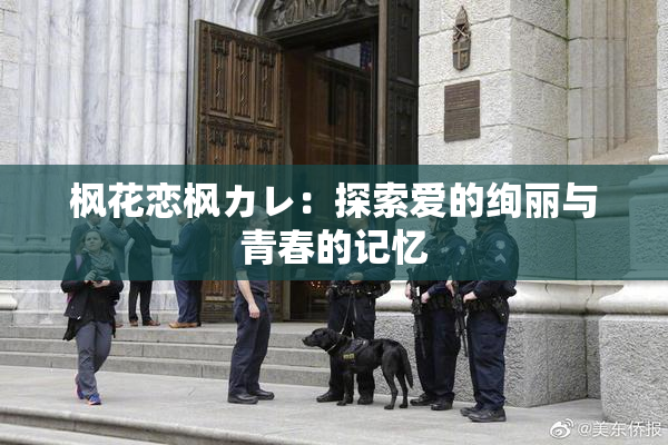 枫花恋枫カレ：探索爱的绚丽与青春的记忆