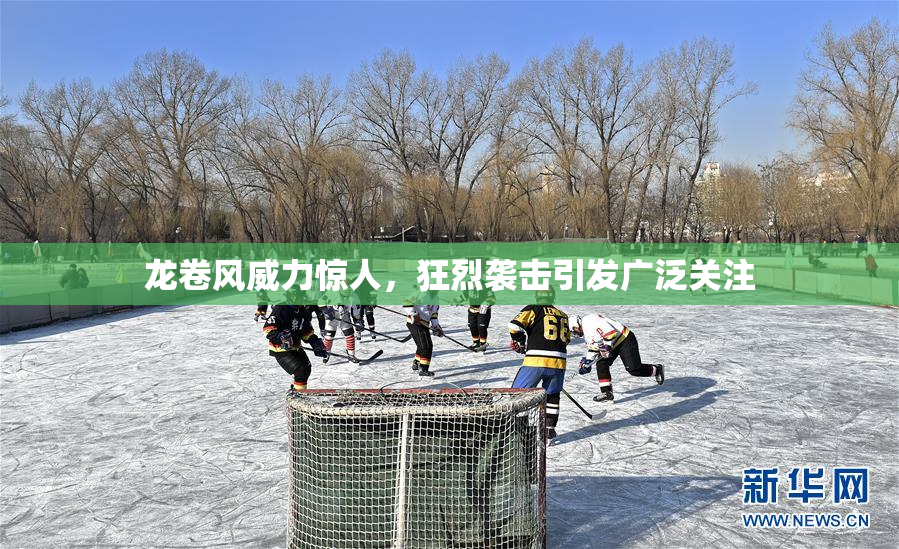 龙卷风威力惊人，狂烈袭击引发广泛关注