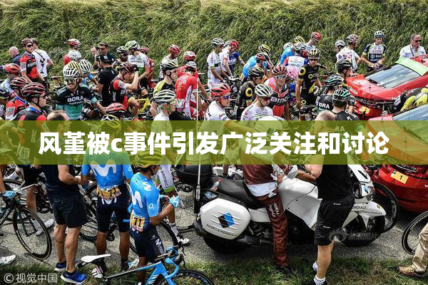 风堇被c事件引发广泛关注和讨论