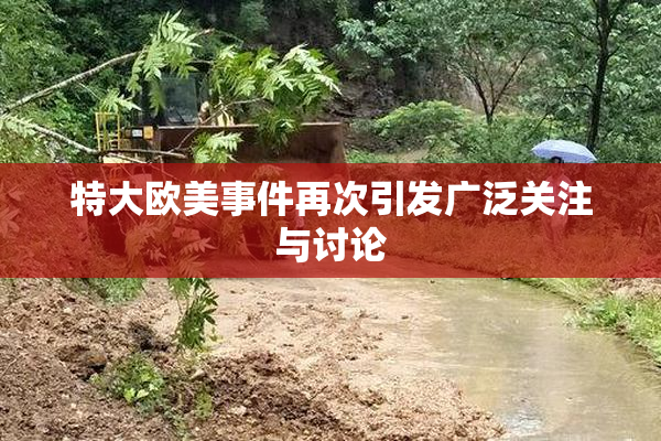 特大欧美事件再次引发广泛关注与讨论