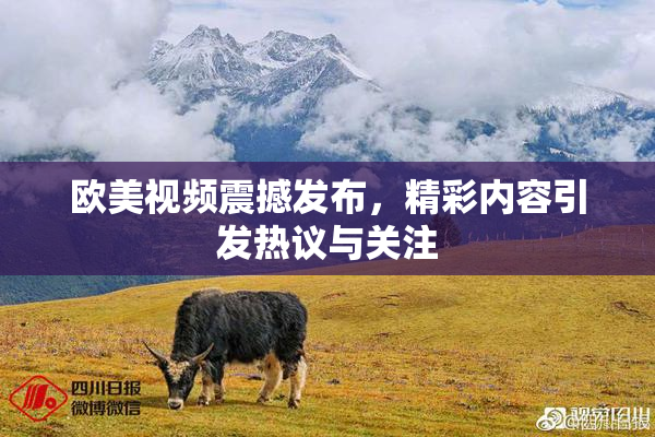 欧美视频震撼发布，精彩内容引发热议与关注