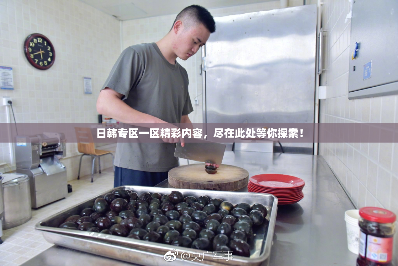 日韩专区一区精彩内容，尽在此处等你探索！